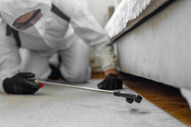 Professional Bed Bug Control technician working in Pope County County, MN
